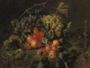 Grapes And Apricots On A Forest Floor by Adriana-Johanna Haanen