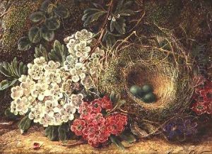 Still life with bird's nest by George Clare