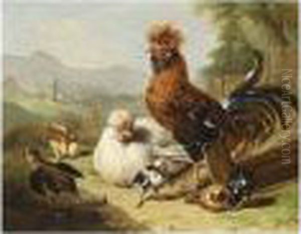 The Rooster's Family - view 1
