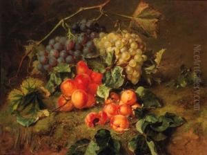 A Still Life With Grapes And Apricots by Adriana-Johanna Haanen