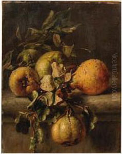 Quinces On A Ledge - view 1