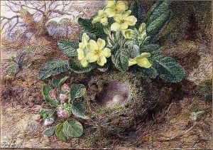 Still Life with Primroses and Birds Nest by George Clare
