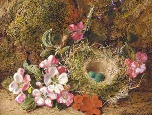 Primulas and a bird's nest with eggs on a mossy bank