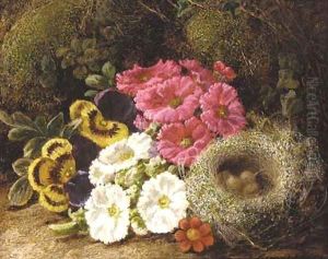 Primulas and a bird's nest on a mossy bank