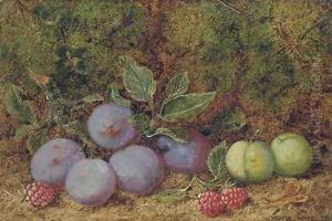 Plums, raspberries and greengages on a mossy bank
