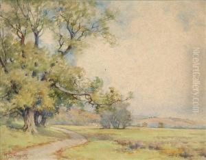 Country Lanewith A Broad Oak Country Lanewith A Broad Oak
