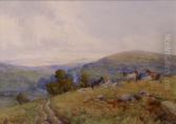 Ponies Ondartmoor - view 1
