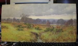 Cattle Grazing In A Woodland And Moorland Lanscape