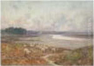 Sheep In A River Landscape Sheep In A River Landscape