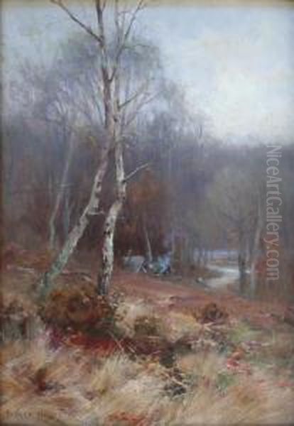 A Camp In The Woods - view 1
