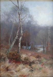 A Camp In The Woods