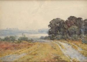 Landscape Of A Lane Across A Moor With Trees