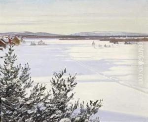 Sunny Winterlandscape In Sweden Sunny Winterlandscape In Sweden