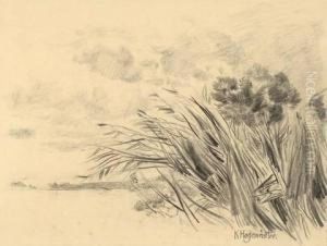 Schilf Am Ufer by Karl Hagemeister