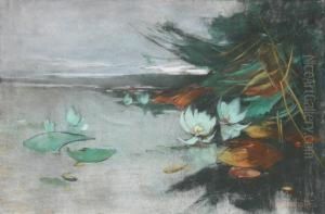 Seenlandschaft Seenlandschaft
