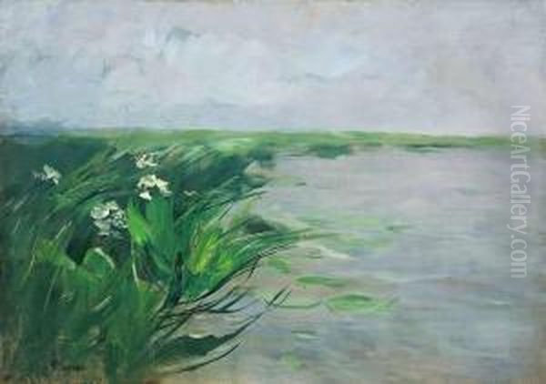 Markische Seenlandschaft - view 1