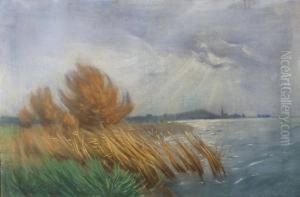 Sturmisches Havelufer Mit Blick Auf Werder by Karl Hagemeister