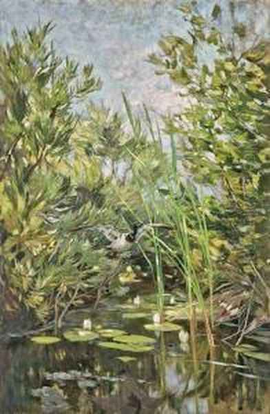 "teichlandschaft (johannistal) Mit Auffliegender Stockente" - view 1