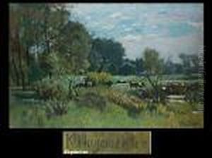 Sommerlandschaft Bei Ferch Sommerlandschaft Bei Ferch