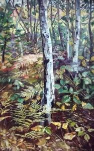 Birkenwald Birkenwald