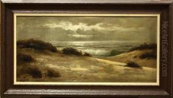 Moonlight On The Dunes And Sea - view 1