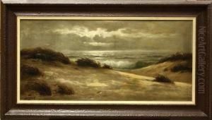 Moonlight On The Dunes And Sea by Nels Hagerup
