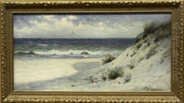 Coastal Landscape With Flowering Dunes - view 1