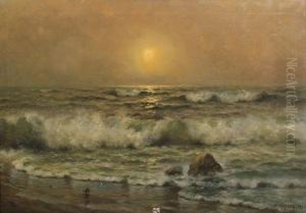 Dawn At A Tranquil Beach - view 1