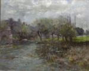 Willow Trees On The Banks Of A River