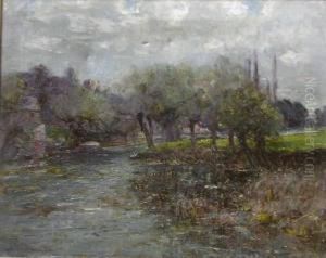 Willow Treeson The Banks Of A River
