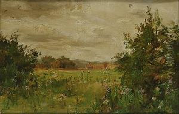 Landscape With Wild Flowers In The Foreground - view 1