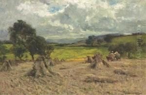 Hay Stacks