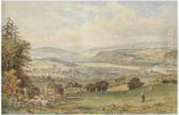 View Of Hexham; Summer Evening - view 1
