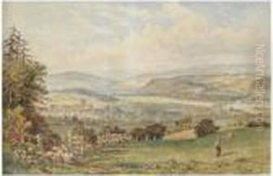 View Of Hexham; Summer Evening by Thomas Henry Hair