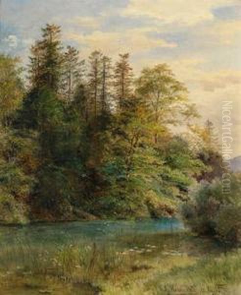 Waldteich - view 1