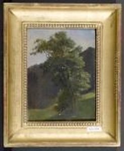 Landschaft Mit Baum. 1837.