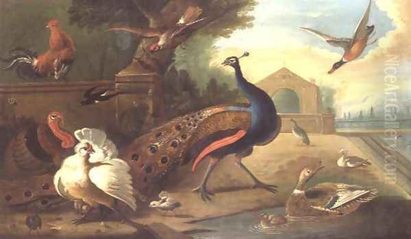 A Peacock, cockerel, turkey and other birds - view 1