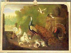 A peacock, turkey and other birds in an ornamental garden