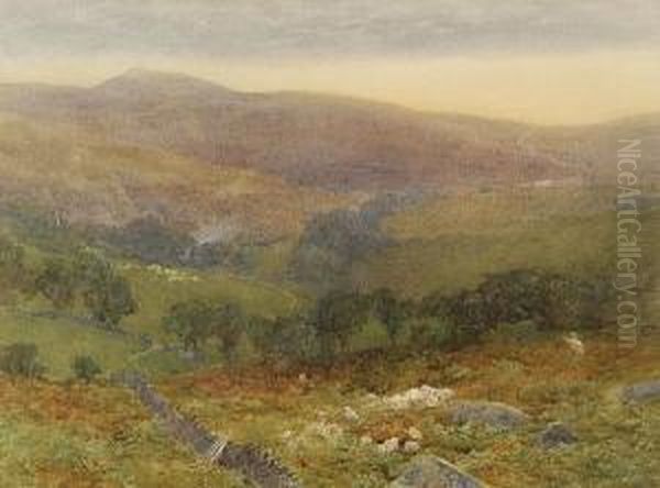 Sheep Grazing In A Mountainous Landscape - view 1
