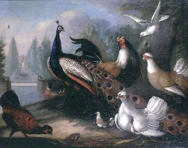 Ornamental Fowl - view 1