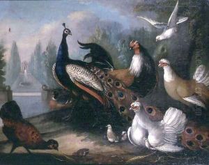 Ornamental Fowl by Marmaduke Craddock