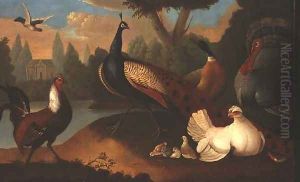 Landscape with various birds by Marmaduke Craddock