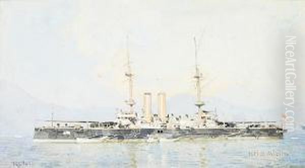 H.m.s Albion - view 1