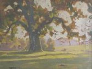 A Figure Sitting In Dappled Sunlight Beneath The Branches Of A Tree