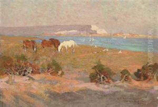 Horses By The Sea - view 1