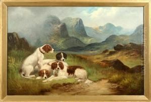 Englische Jagdhunde Im Schottischen Hochland