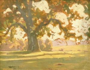 Figures Beneath A Treein The Sunlight