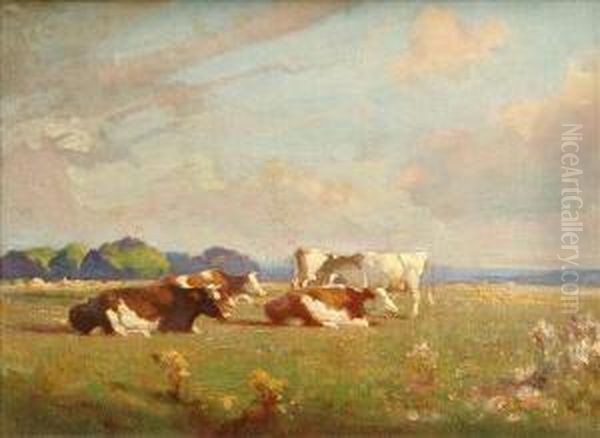 Sunny Meadows - view 1