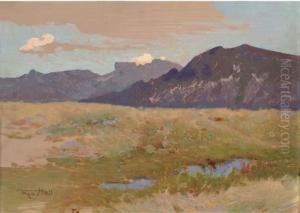 An Extensive Landscape