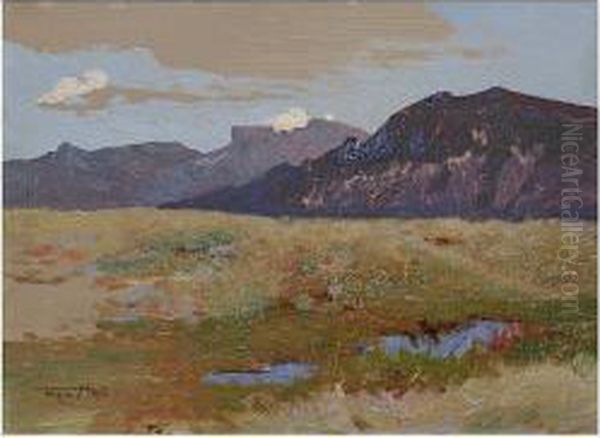 An Extensive Landscape, With Mountains In The Distance - view 1